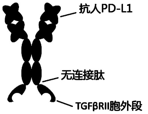 圖片.png
