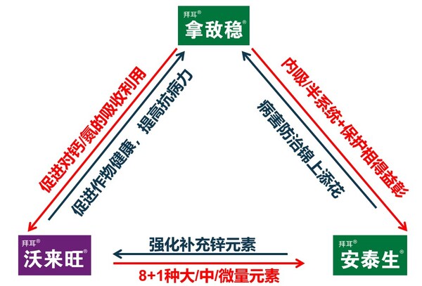 拜耳拿沃安®的協同增效機理
